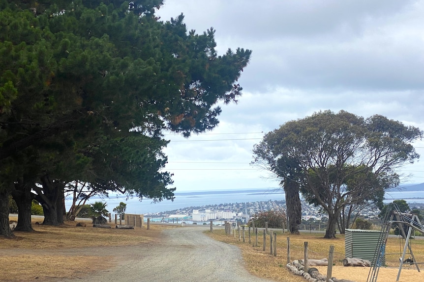 View of roadways lined with trees overlooking a city below and ocean