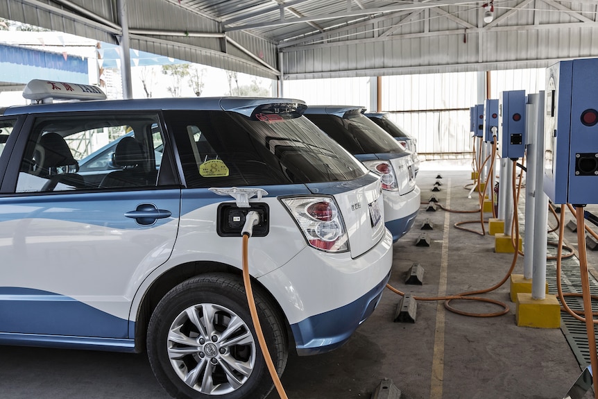 A row of hatchbacks plugged into chargers