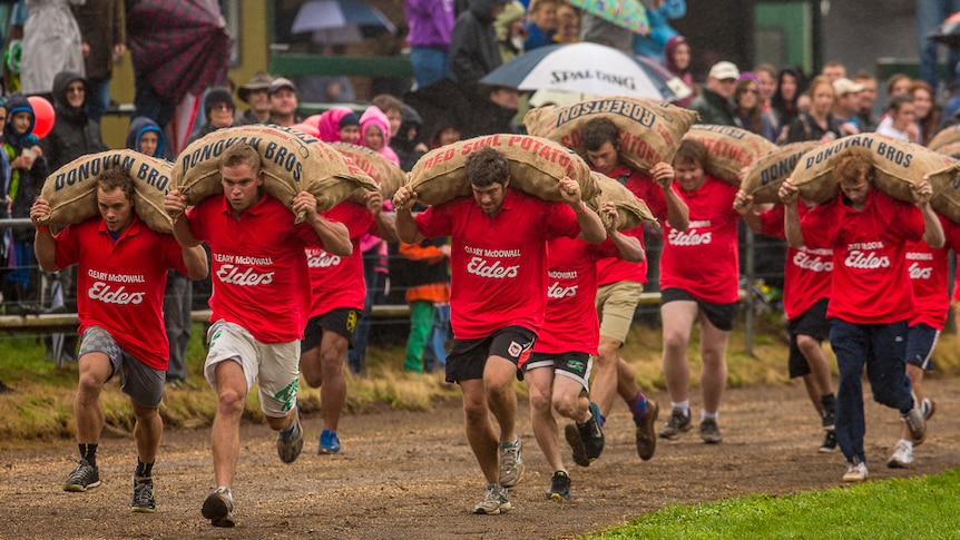 Men race carrying potato sacks at the Robertson Show.