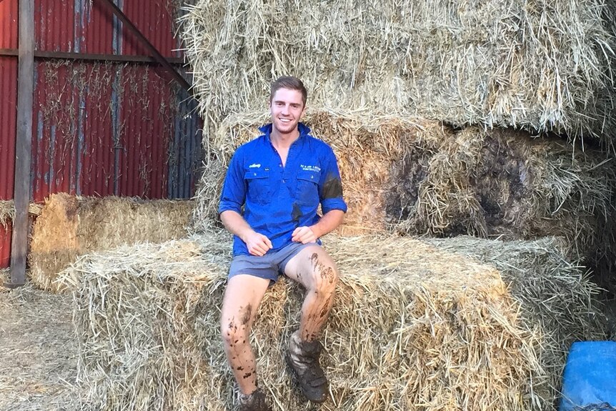 A young man in a blue shirt sits on a hay bale.