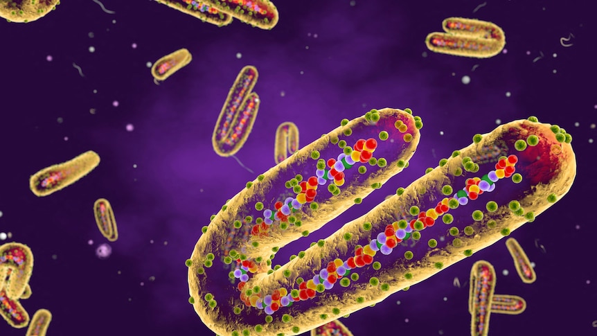 A stylised illustration of a tubular virus cell on a purple background. 