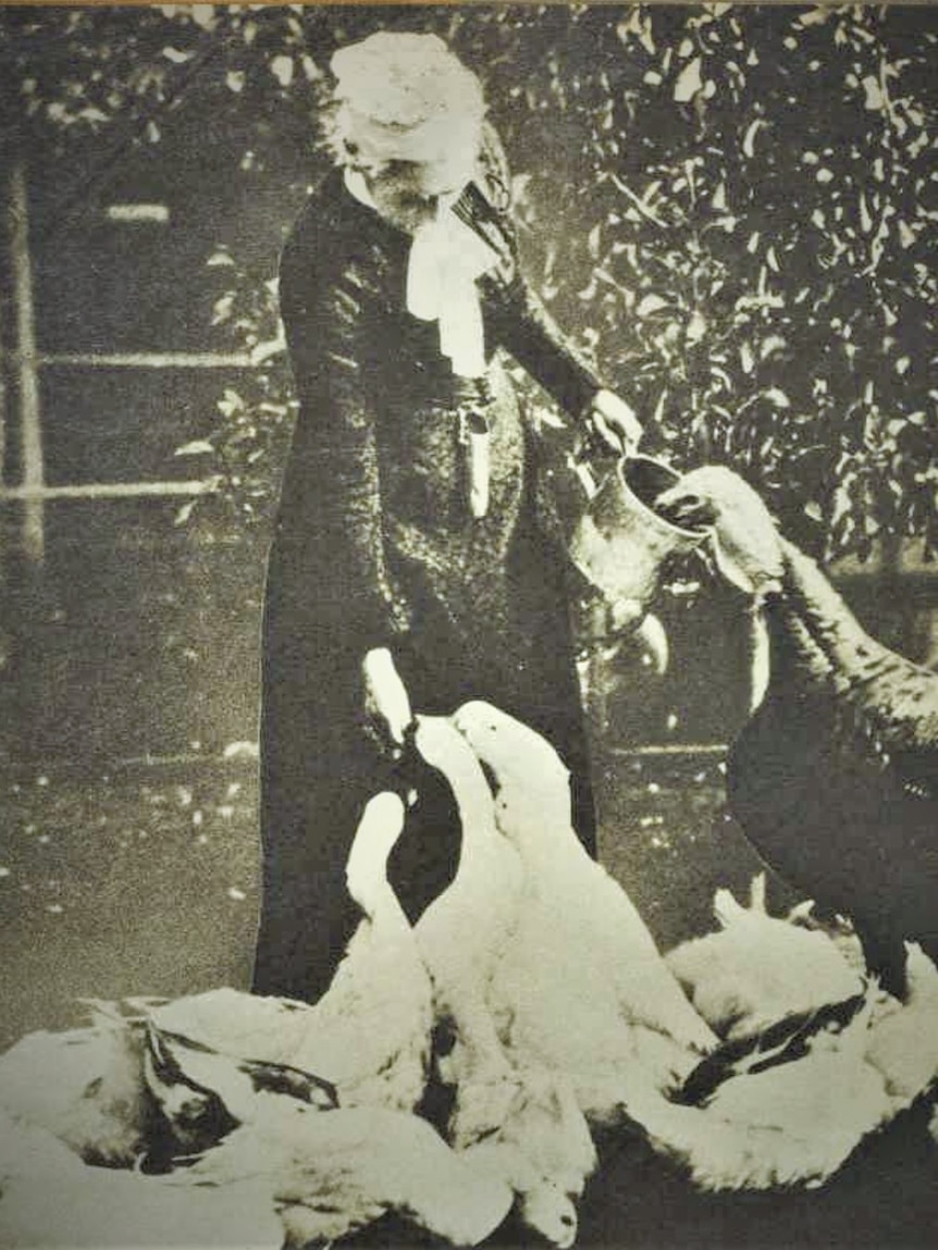 Mary Roberts feeding birds.