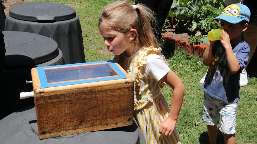 Chloe Bolianitis inspects a hive