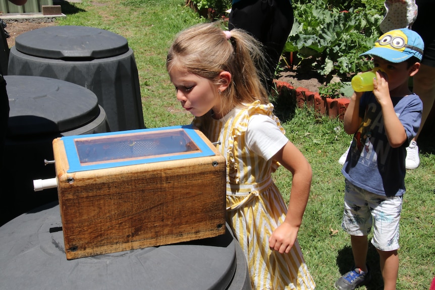 Chloe Bolianitis inspects a hive