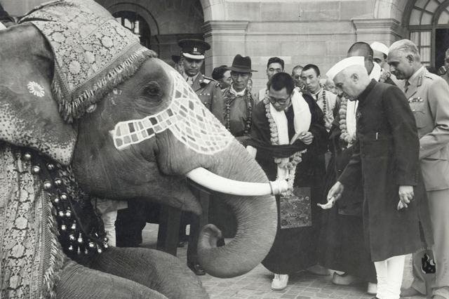 A black and white photo of the Dalai Lama and others with a decorated elephant in New Delhi.