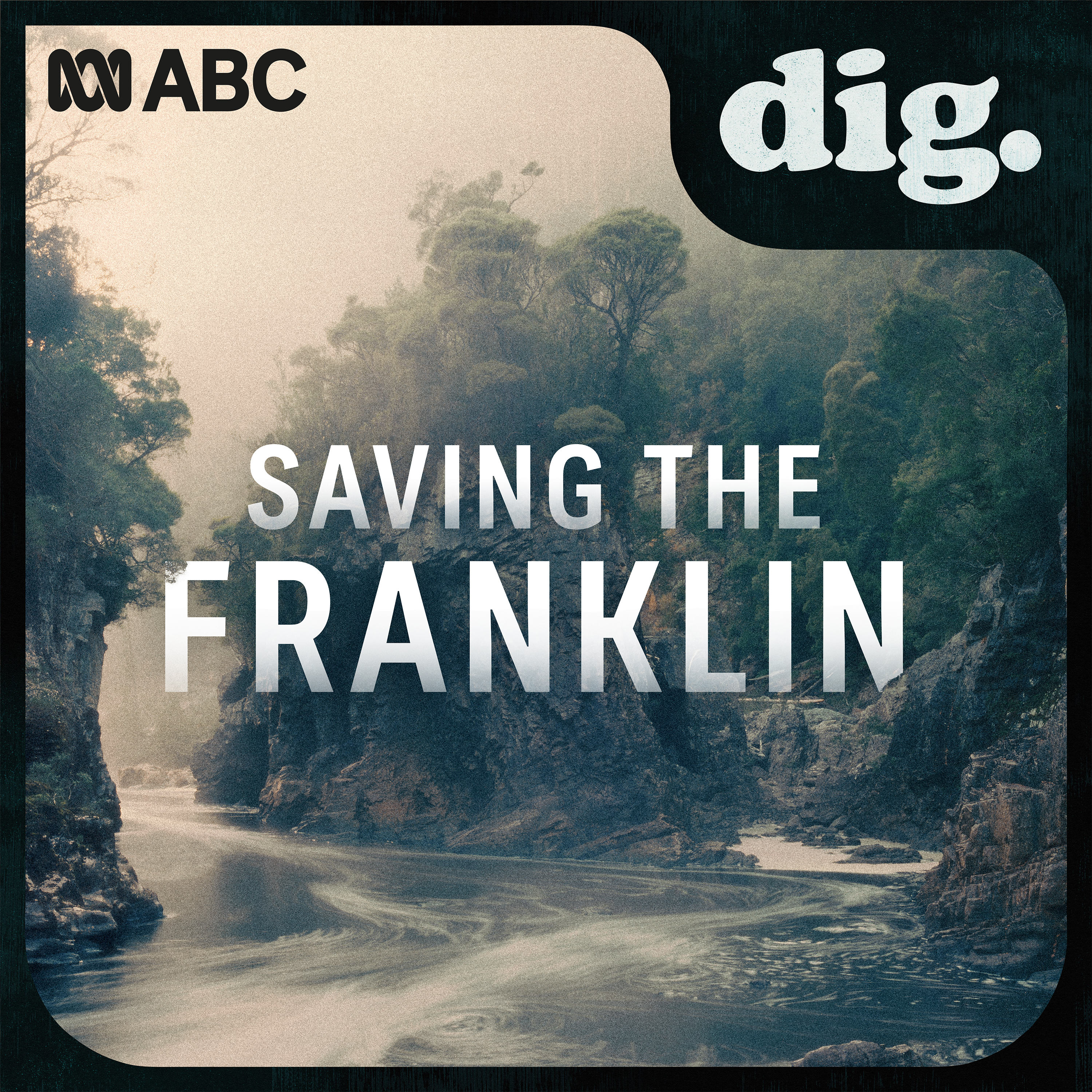 Dig — Saving The Franklin