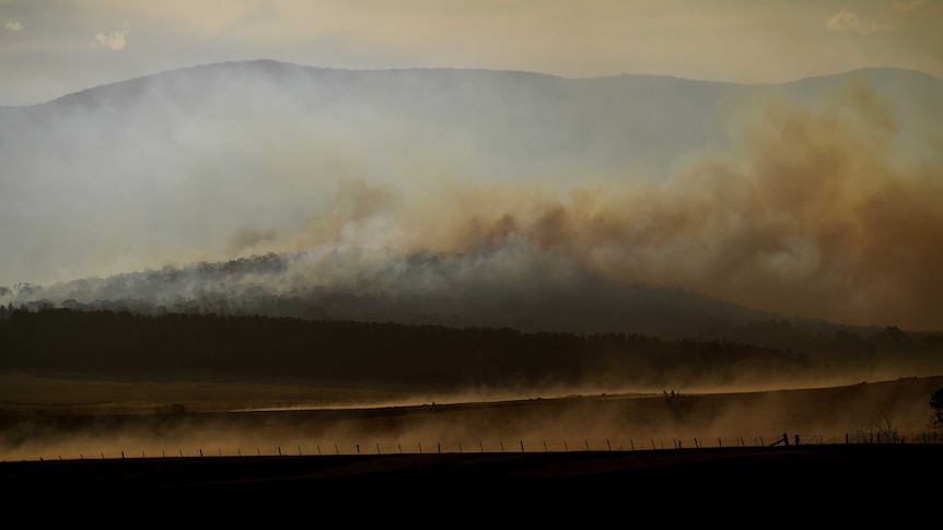 Bushfires near Plumwood Mountain, NSW in late 2019