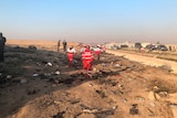 Rescue workers in red suits are seen looking over the wreckage of a plane. There are several emergency services vehicles.