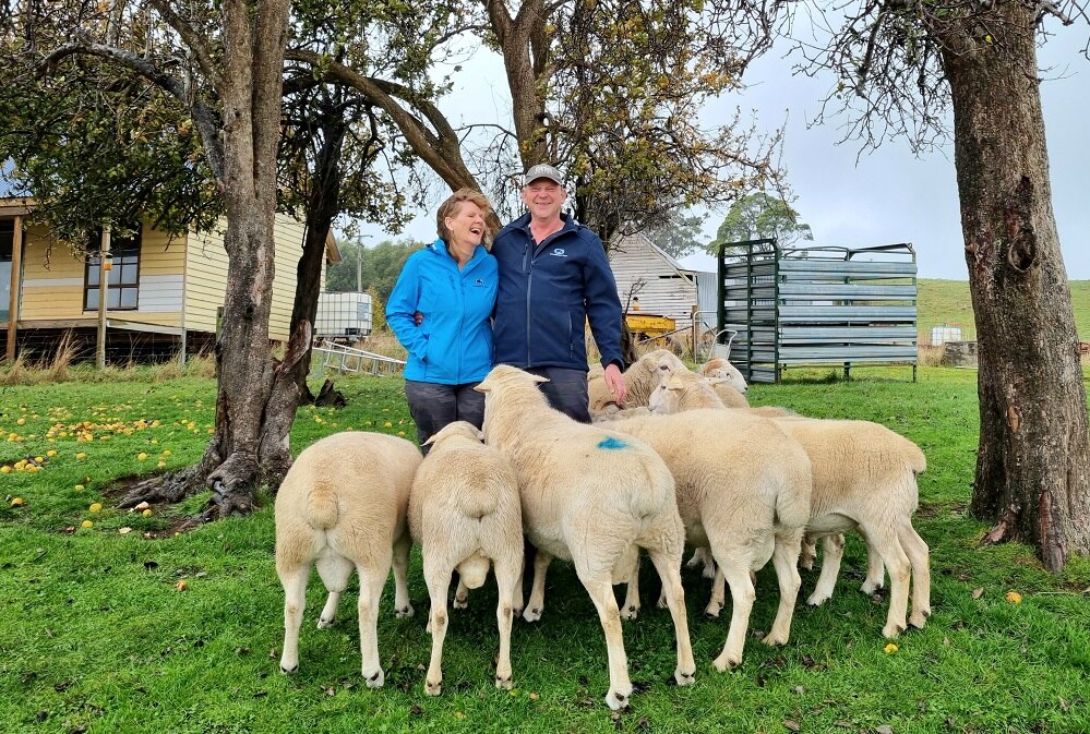 From adult fiction and engineering to sheep farm - ABC listen