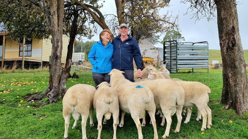 A man and a woman standing in front of a dozen sheep on their Tasmanian property