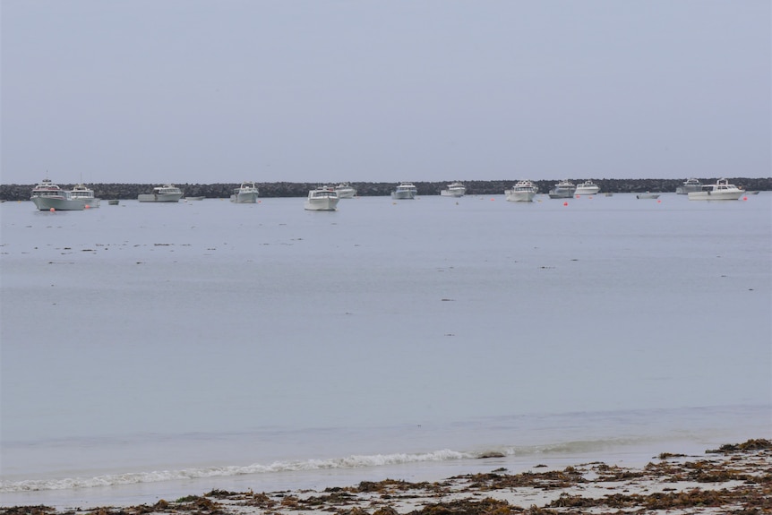 Around a dozen small white fishing boats are moored inside a rock wall. The sky and water are the same colour of grey. 