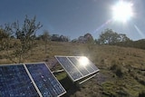 Sun beats down on solar panels