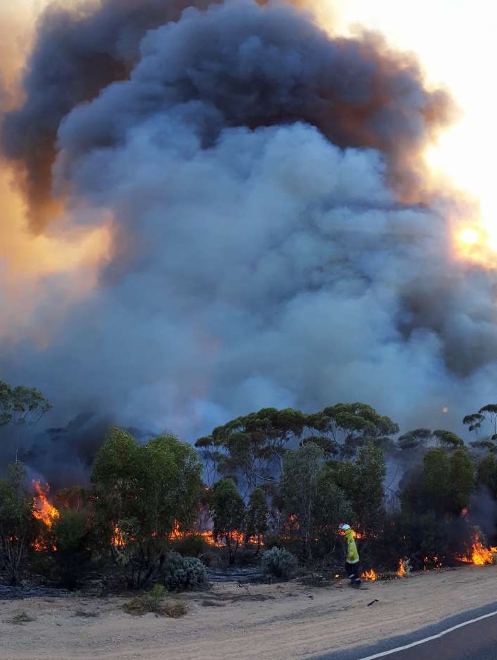 Flames and smoke rise alongside a road.