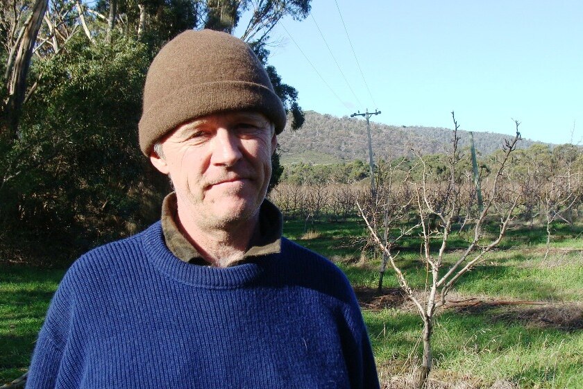 Scott Hansen on his orchard Nubeena