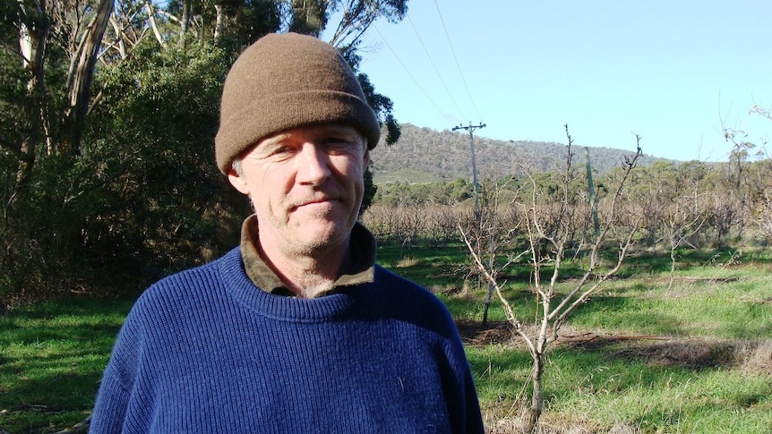 Scott Hansen on his orchard Nubeena