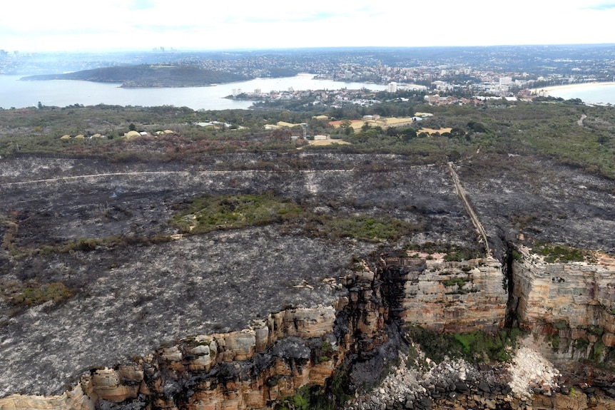 A burnt cliffside aerial photograph, the city in the background, smoke in the air