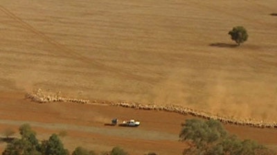 Drought in north west Queensland
