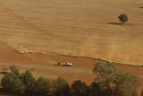 The Prime Minister to tour drought-stricken properties in NSW tomorrow.