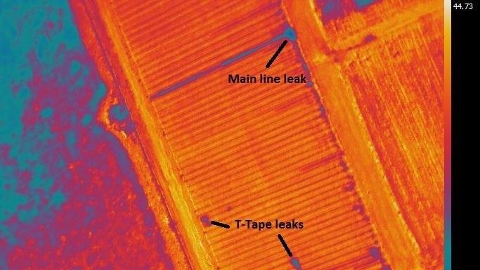 An infrared map highlights a main line leak and tap leaks.