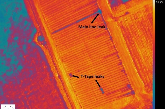 An infrared map highlights a main line leak and tap leaks.