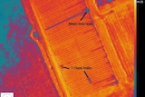 An infrared map highlights a main line leak and tap leaks.