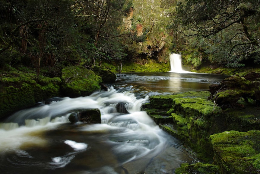 Douglas Creek in the Cradle Mountain Lake St Clair National Park Tasmania.