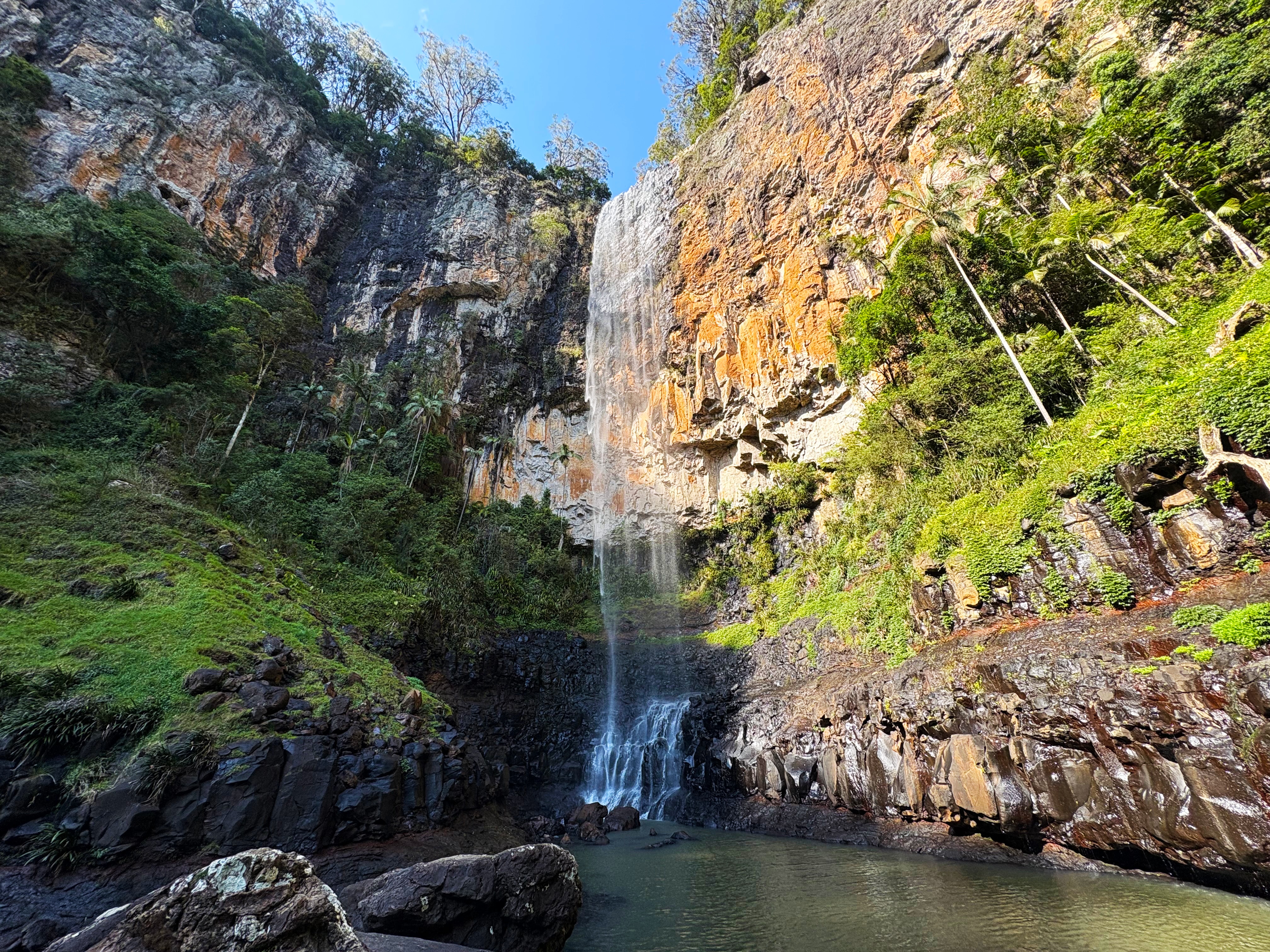 Gold Coast cableway plan edges forward but with slashed funding