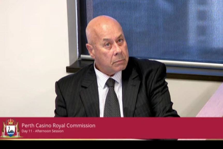 A screen shot from a web stream of a man sitting in a court-style witness box during a royal commission hearing.