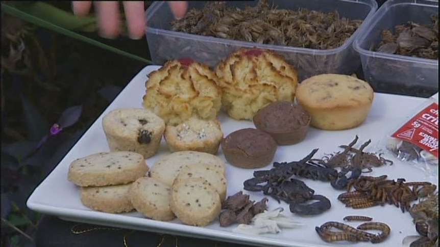 Edible insect breeder Skye Blackburn talks David Spicer through some of her roasted offerings.