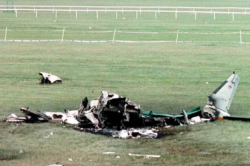 A close-up of the remains of a burned-out plane lying in a field after a crash.