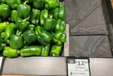 A pile of capsicums on sale in a box at a grocery store for $12.90 per kilogram.