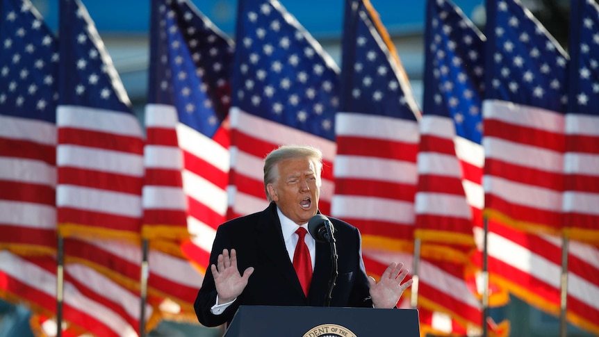 A man wearing a dark suit with a red tie holds his hands in the air while standing at a podium with US flags behind him.