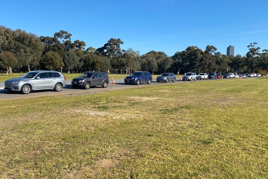 Dozens of cars lined up for coronavirus testing at Adelaide's Victoria Park.