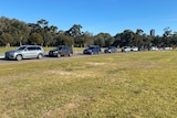 Dozens of cars lined up for coronavirus testing at Adelaide's Victoria Park.