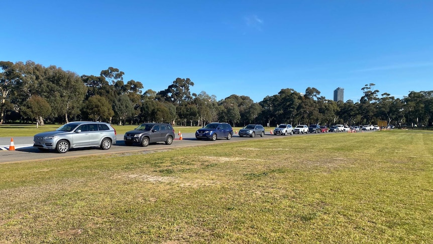 Dozens of cars lined up for coronavirus testing at Adelaide's Victoria Park.