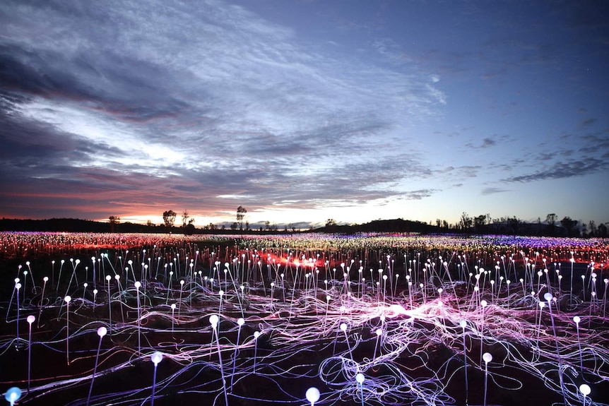 Field of Light Uluru