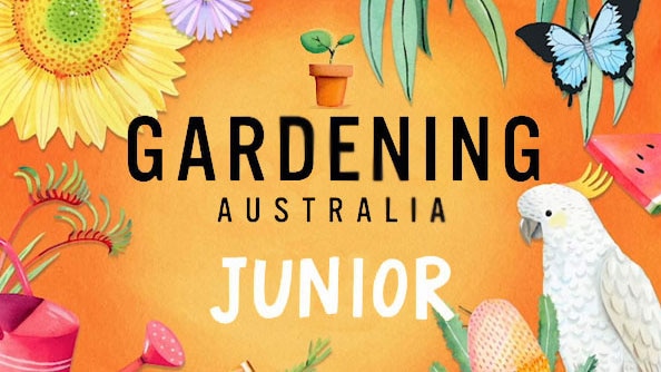 Graphic with text 'Gardening Australia Junior.'