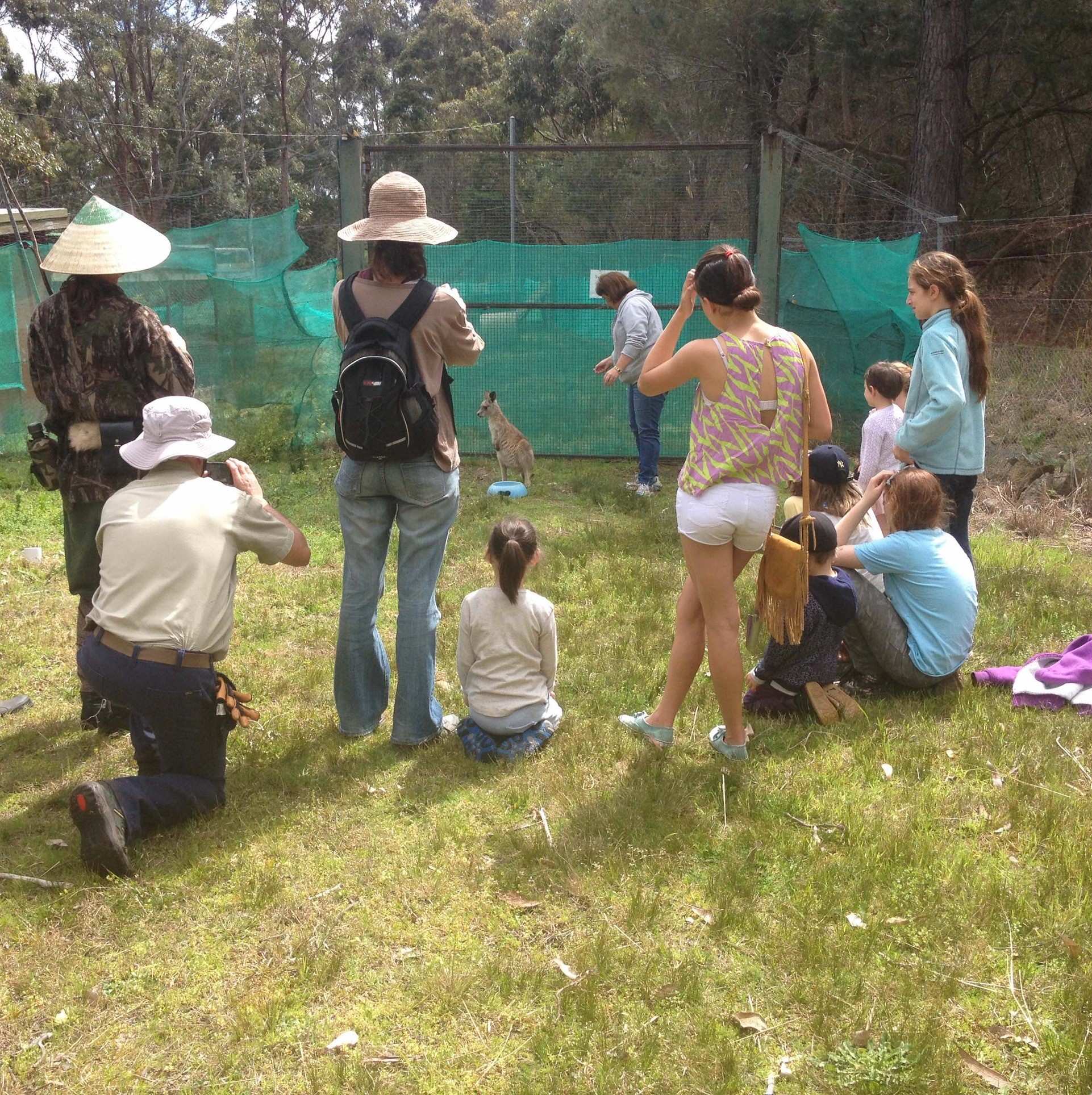 Skippy's Waratah Park wins grant to start planning restoration of