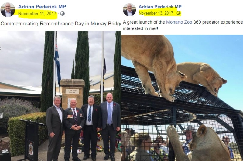 Facebook posts of men wearing a suit and lions on a cage with people inside
