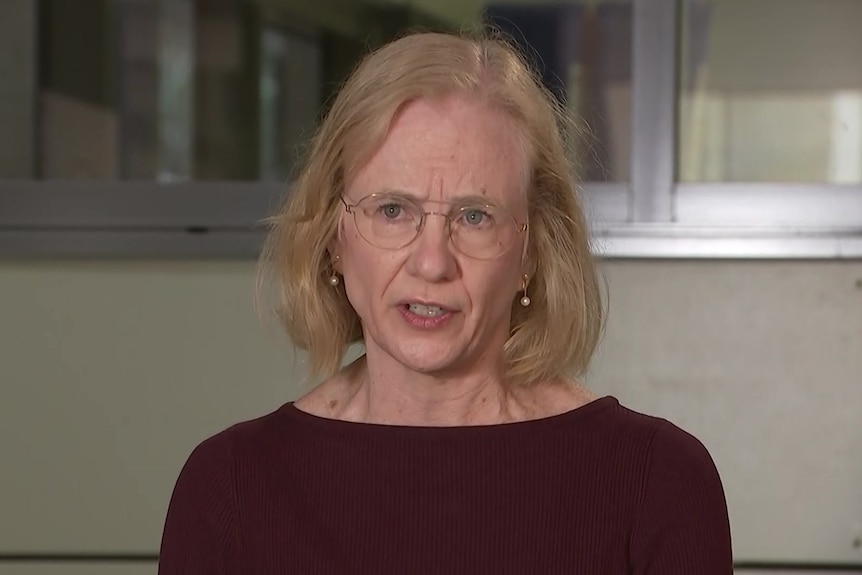 Queensland Chief Health Officer Jeannette Young speaks at a media conference on April 3, 2021.