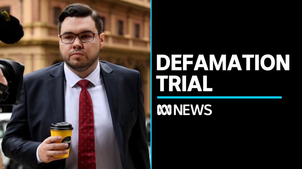 Bruce Lehrmann defamation case continues - ABC News