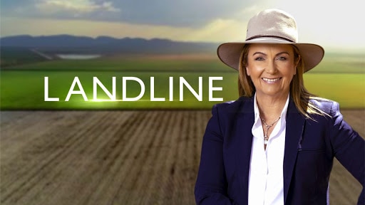 Landline on ABC
