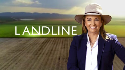 Landline on ABC