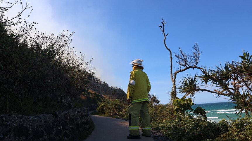 A fire fighter standing facing a smoke covered hill. He's wearing yellow protective gear and a helmet.