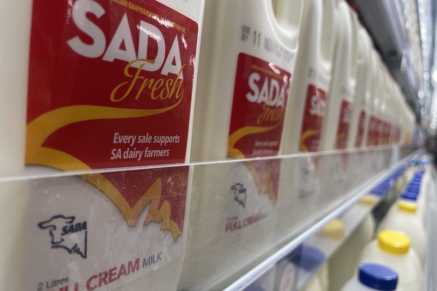 A close up of bottles of two-litre SADA fresh milk on shelves in a supermarket fridge.