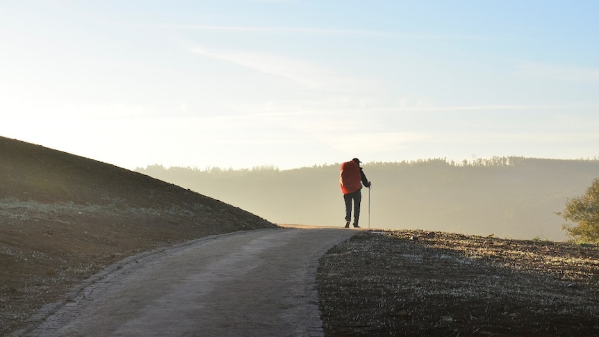 Pilgrim walking the Camino de Santiago in a story about the joys and benefits of long walks