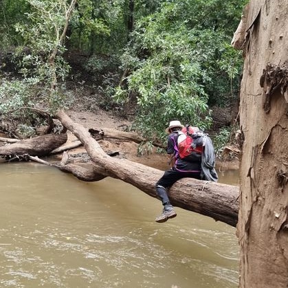 A man straddling a fallen tree over a river in dense bush