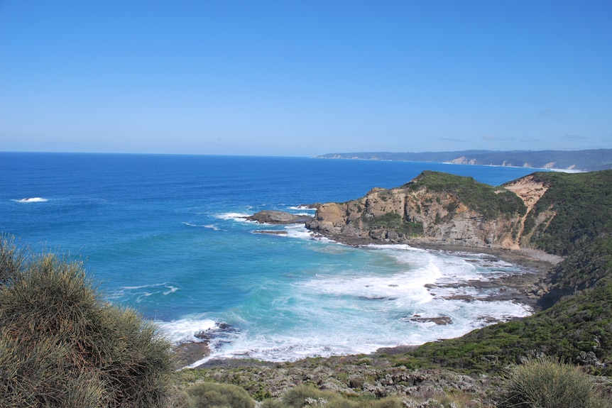 A view of the coast showing Dinosaur Cove