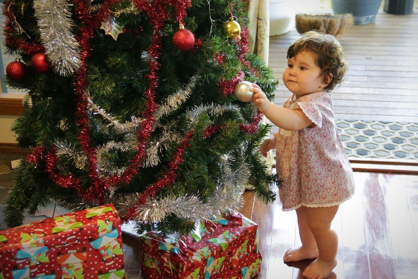 A toddler puts a bauble on a Christmas tree.
