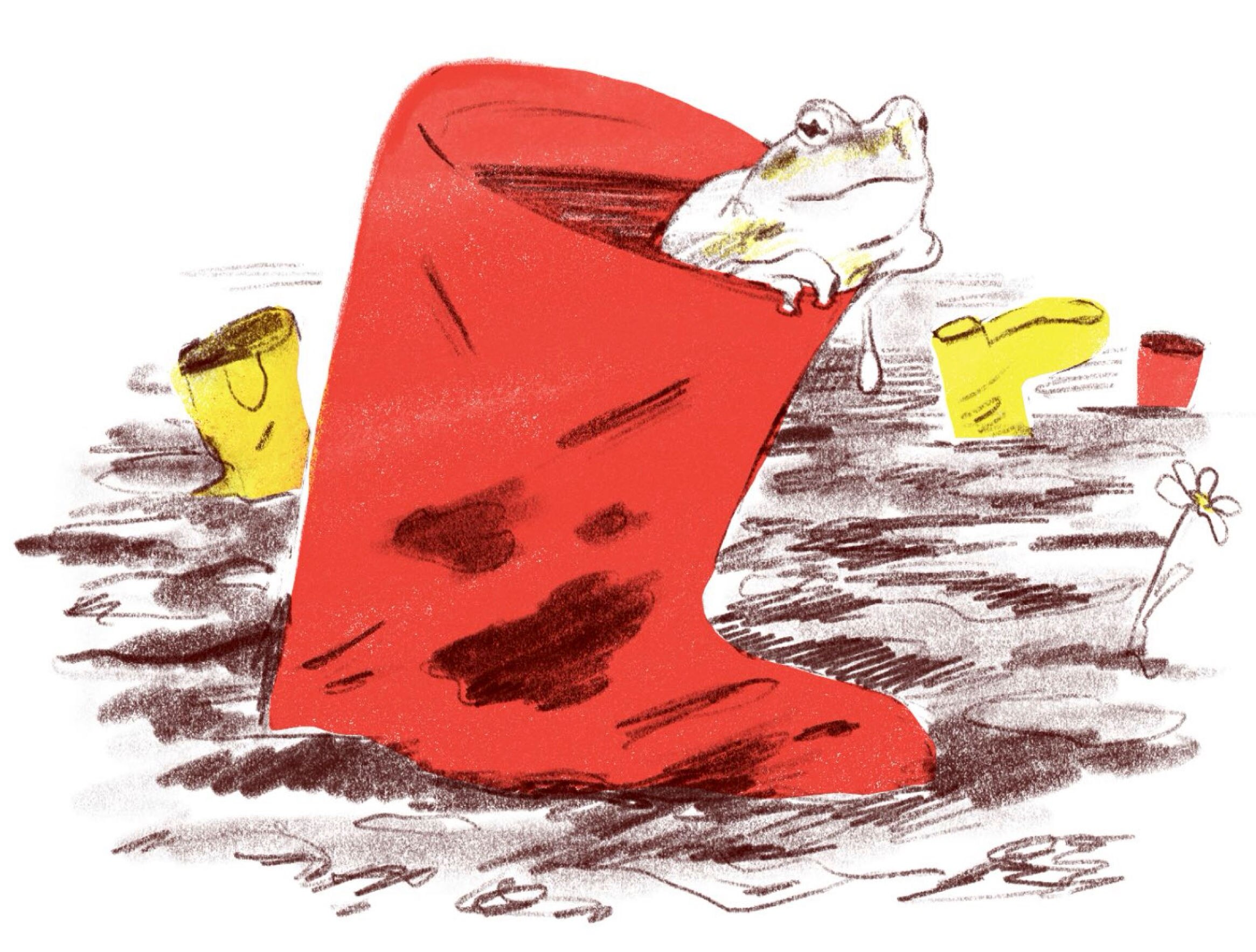 A red gumboot floating in water with a toad sticking its head out of the top, sketch drawing.